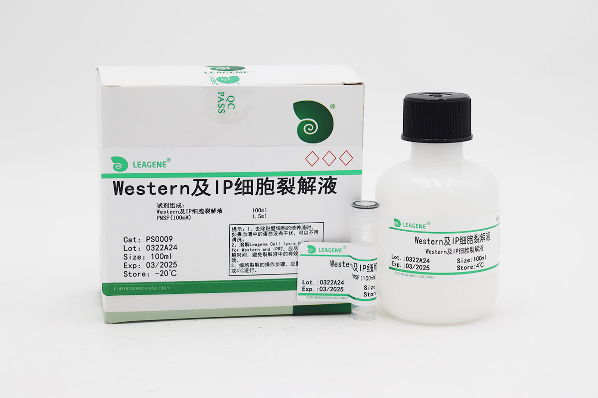 Western及IP細胞裂解液